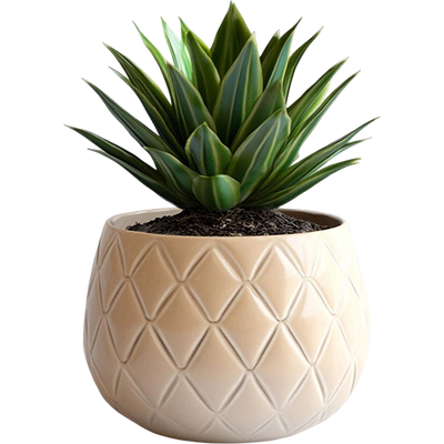 Plant Pots